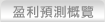 盈利預測概覽